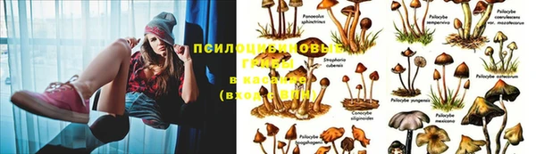 эйфоретик Беломорск