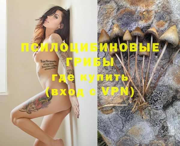 гашиш Белокуриха