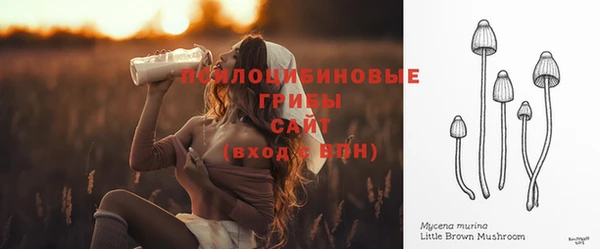 мяу мяу мука Белоозёрский